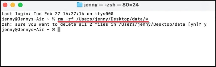 enter commands in Terminal | Delete Temp Files Mac