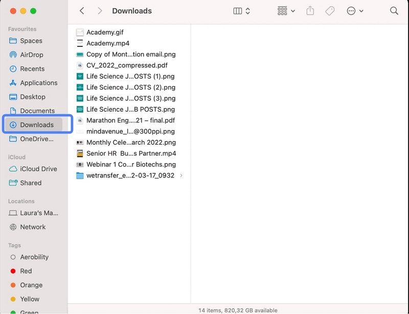 find and delete downloads | delete downloads on mac