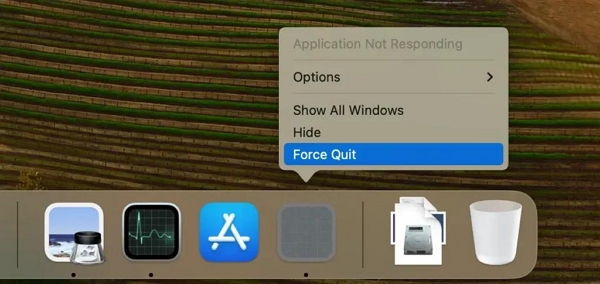 Confirm the action | force quit unresponsive apps