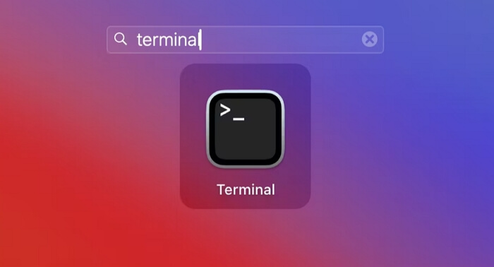 поиск терминала на панели запуска | Очистить другие тома в контейнере Mac
